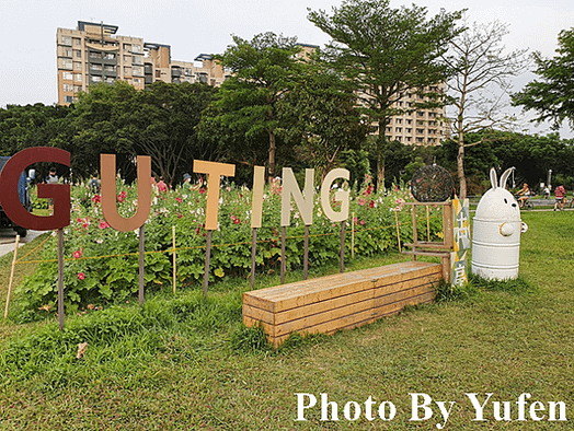 古亭河濱公園 蜀葵之森