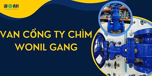 Tổng quan về van cổng ty chìm 