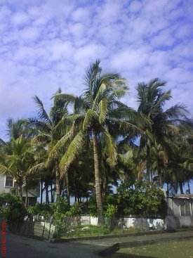 DSC00496.jpg