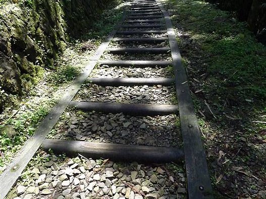 P1100048