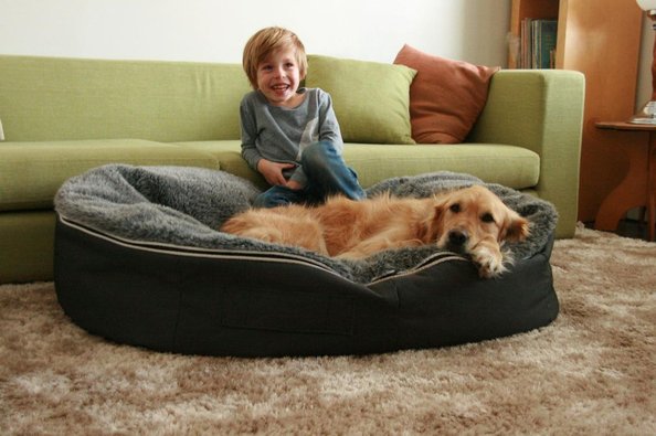 Cool-Raised-Dog-Bed