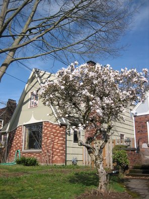 spring