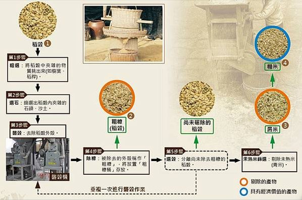 養豬吃粗糠?米糠?(粗糠-米糠糙米-白米)「甚耐粗食，且繁殖