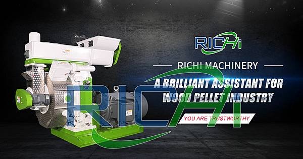 new design rice husk wood pellet mill machine.jpg