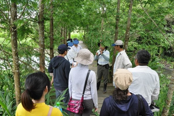 南投魚池之旅遊景點-頭社泥炭土活盆地