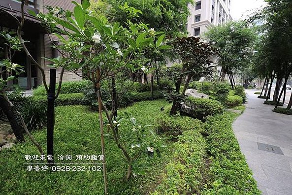 龍寶心臻邸(14)廖香婷0928232102歡迎鑑賞.JPG