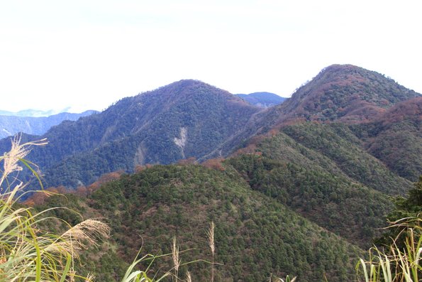 2013/11/10  翠峰湖-山毛櫸國家步道-太平山-八甲