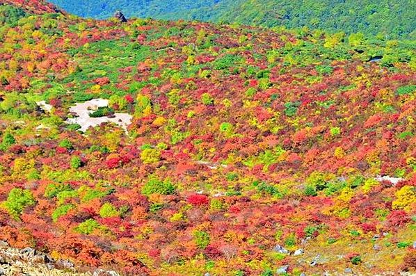 栃木紅葉名所 那須岳 MT jeans 華嚴瀑布、中禪寺湖