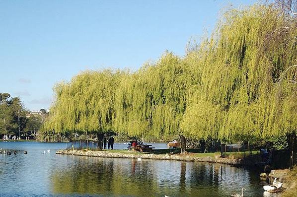 【玩樂牛羊島】 奧克蘭景點推薦