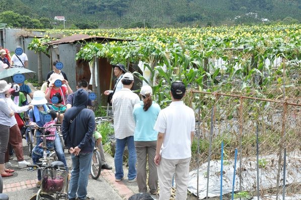 南投魚池之旅遊景點-頭社泥炭土活盆地