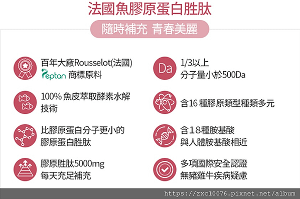 法國魚膠原蛋白胜肽