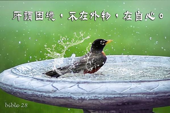 882-12因緣果報從不負人