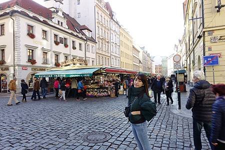 DSC00503.JPG