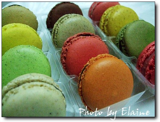 青木定治macarons2