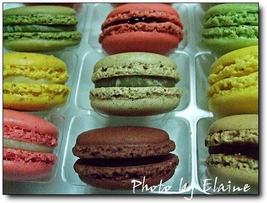 青木定治macarons3