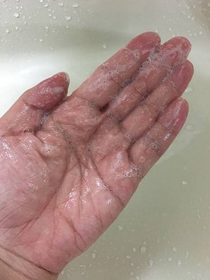 thumb_IMG_9680_1024.jpg