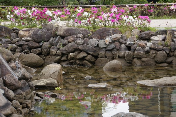 臺北好地方～大安森林公園&amp;永康隨走