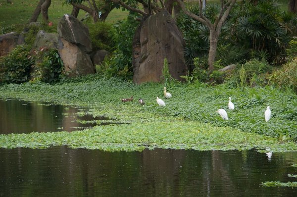 臺北好地方～大安森林公園&amp;永康隨走