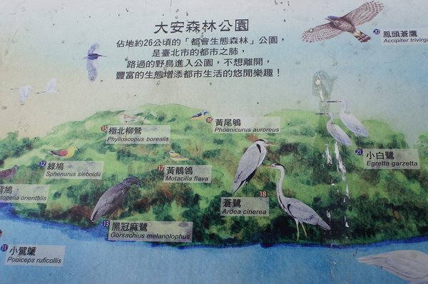 臺北好地方～大安森林公園&amp;永康隨走