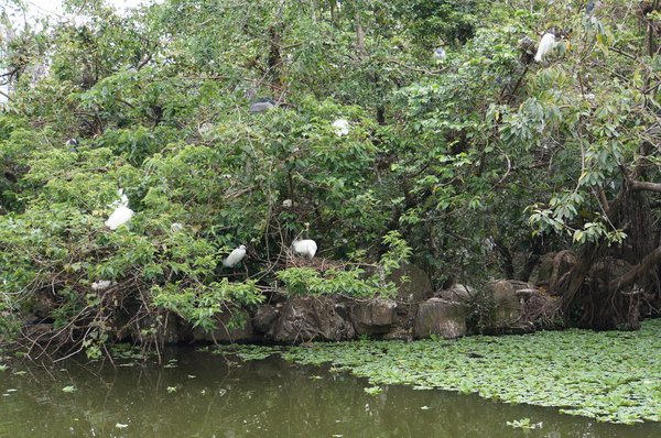 臺北好地方～大安森林公園&amp;永康隨走