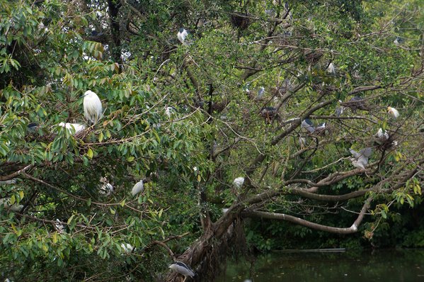 臺北好地方～大安森林公園&amp;永康隨走