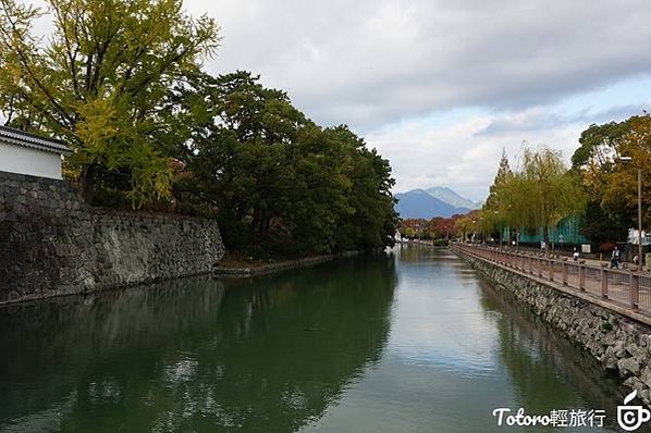 Photo_1582808733140