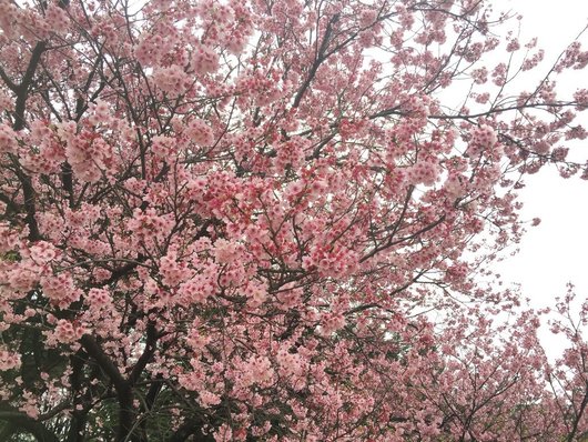 2016-03-11 10.19.15.jpg