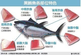 黑鮪魚/秋刀魚捕撈配額/日本築地/黑鮪魚生魚片重金屬檢測結果