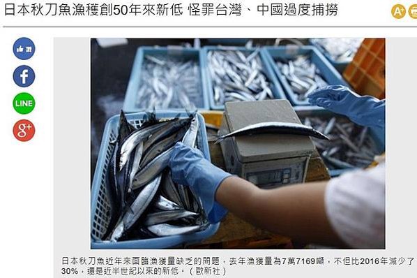 黑鮪魚/秋刀魚捕撈配額/日本築地/黑鮪魚生魚片重金屬檢測結果