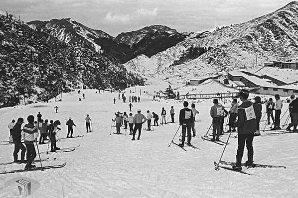 合歡山山難「野呂寧事件」/台灣史上至今最嚴重山難89死，發生