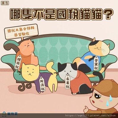 國稅貓貓