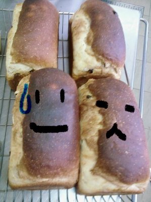 555.jpg