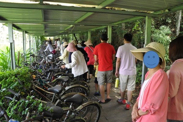 南投魚池之旅遊景點-頭社泥炭土活盆地