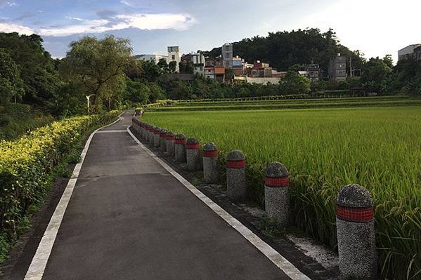 道路-旁邊有稻田，是桃園民宿推薦的自行車道