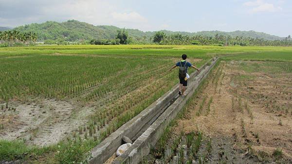 走路進田2