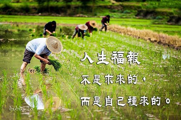882-35因緣果報從不負人
