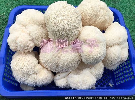 部落格用_170204_0083