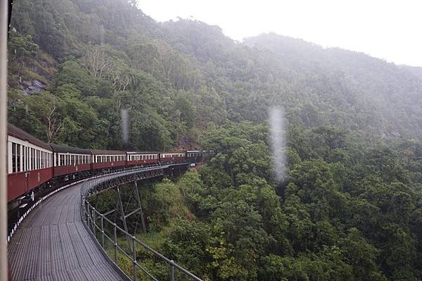 【澳洲】凱恩斯 庫蘭達雨林 Kuranda 1日遊