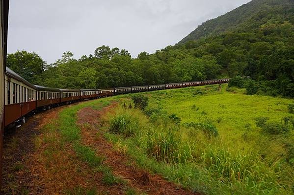 【澳洲】凱恩斯 庫蘭達雨林 Kuranda 1日遊