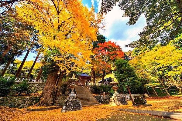 batch_雷神社