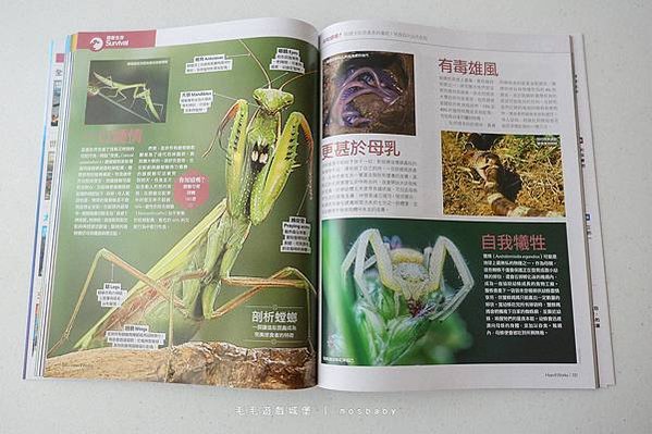 LIVE ABC兒童與成人英語學習雜誌-分程度學習的好助力 