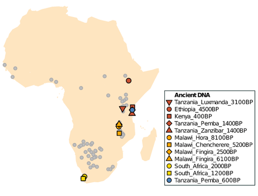 東非、南非古代基因組－非洲遺傳史，與全人類的起源