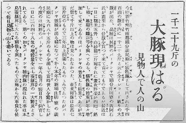 2018年新竹縣義民文化祭/1934年義民廟前有石馬及石燈籠