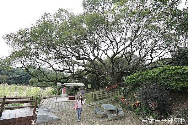 楊梅-江夏堂「千頃第」/楊梅永寧里的江夏堂對聯「五經新世第 