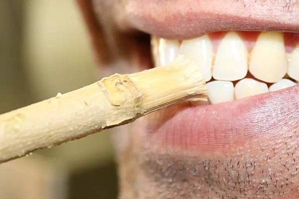 米斯瓦克（miswak）, 也被稱為「刷牙棍」或「樹枝牙刷」