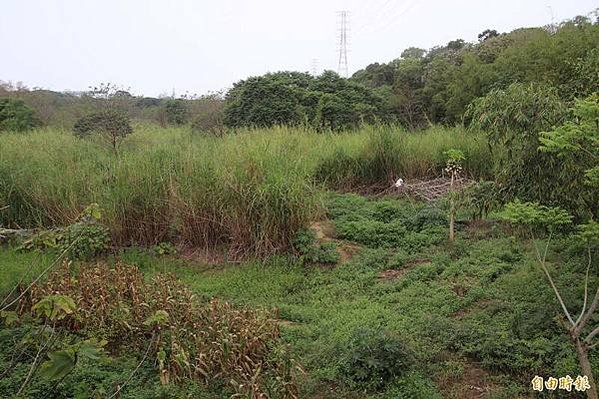 新竹縣府開發湖口新豐殯葬園區說明會；4/8-09:30在新豐