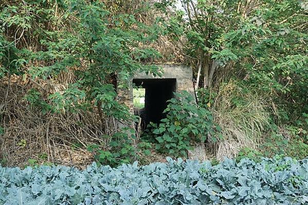 佳冬「碉堡王」、春日「戰鬥司令部」見證佳冬新埤等客庄二戰史/