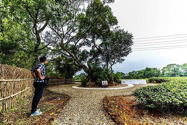 湖口老街茶香步道-「湖口鄉『觀星夕照：心靈的後花園』環境景觀