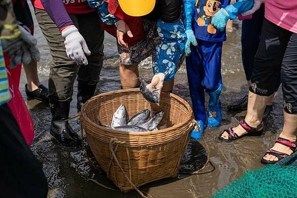 永安漁港-新屋石滬群-海洋客家文化-一邊耕田，一邊『耕海』-