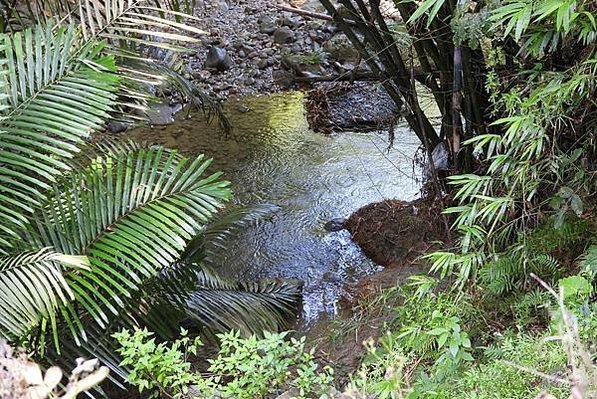 三灣百年糯米橋~南興橋-第二座聖德宮前-三灣鄉大河村（大河底